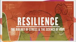 SEL at a Glance in Johnston County Public Schools 2019