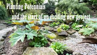 The start of a new Spring Project | Planting Astilbe, Rheum, Ferns, Candelabra Primula
