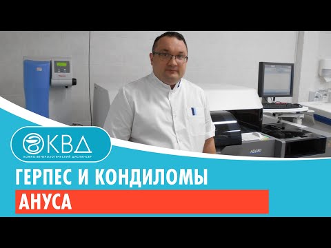 Video: Фосфолипиддер полярдуу эмес эритмеде кантип жайгашышат?