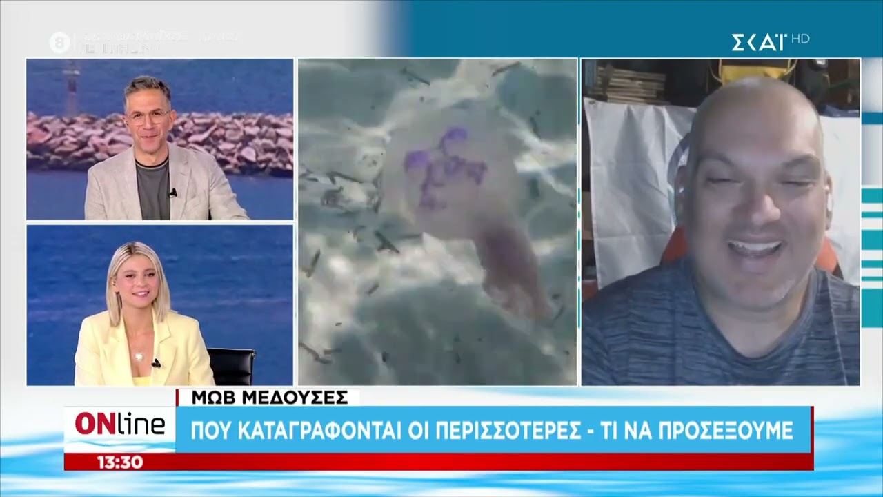 Μωβ μέδουσες που καγράφονται; Καρχαρίες γιατί αυξάνονται οι αναφορές; | 28.07.2026 | ONline | ΣΚΑΙ