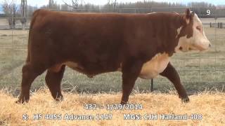 Lot 9 ~ H5 1147 Advance 432