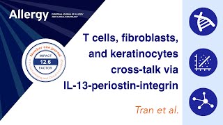 T cell-fibroblast-keratinocyte axis via IL-13-periostin-integrin in atopic dermatitis