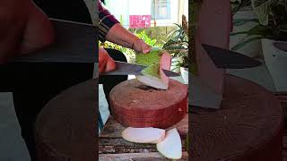 skill menakjubkan pisau dapur memotong kelapa🥥 #coconut #cuttingskills