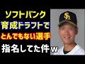 ソフトバンク、2021年育成ドラフトでとんでもない選手を指名してた件ｗこりゃ鷹の求道者二世や！【ホークス仲田慶介選手】