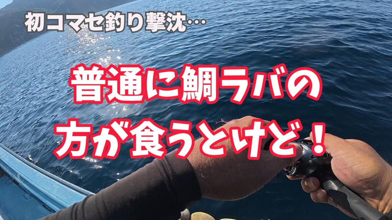 Is tungsten tai rubber the best lure after all?! Is it superior to