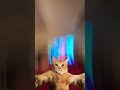 good cat