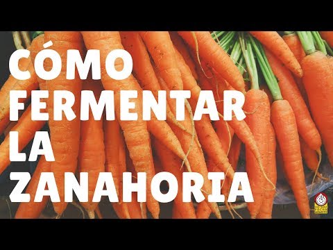 Vídeo: Quin Te S’anomena Sense Fermentar?