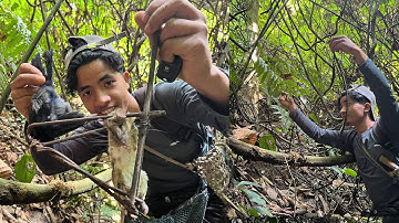 Hunting Wild Rats & Birds | Arunachal Traditional Trapping Season.