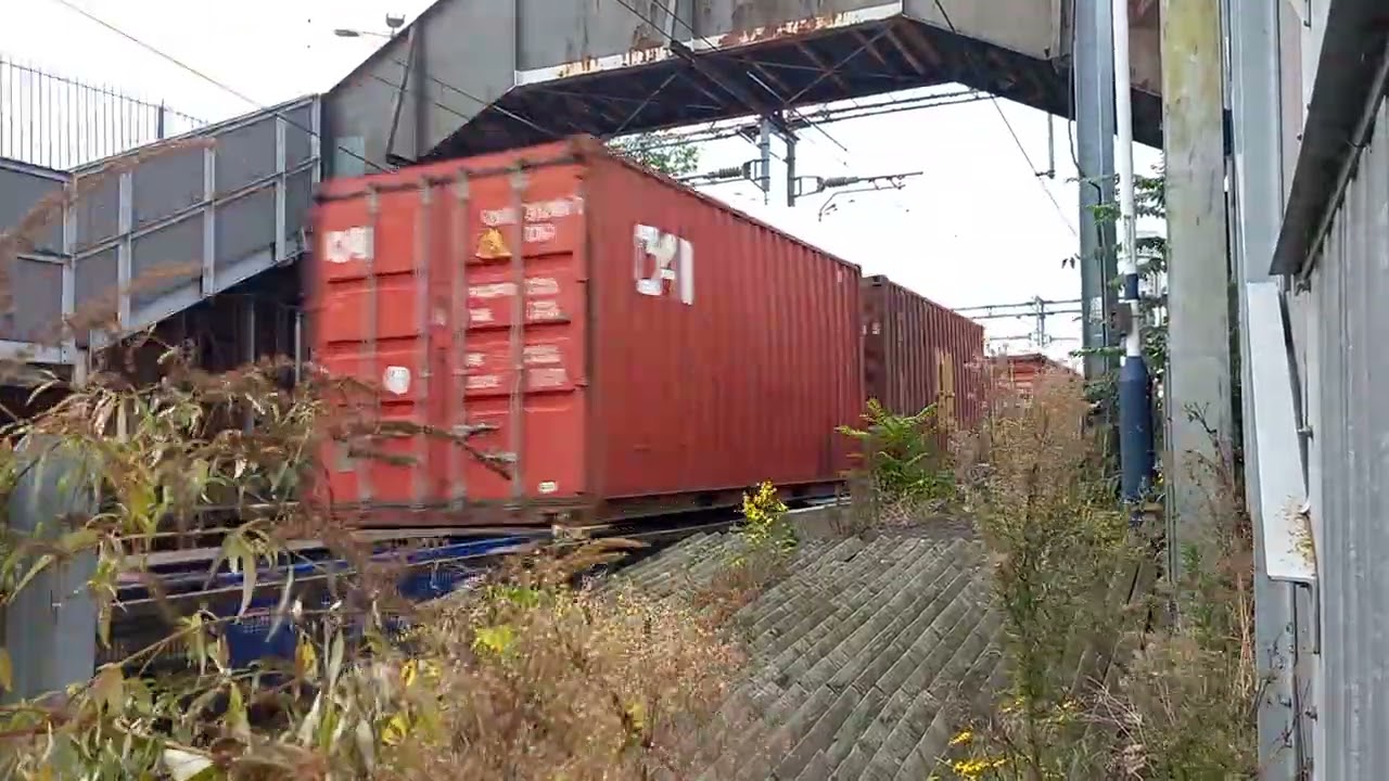 66740 "Sarah" with 4L98 passing Grays at 1413 (11 mins late) (01/10/25)