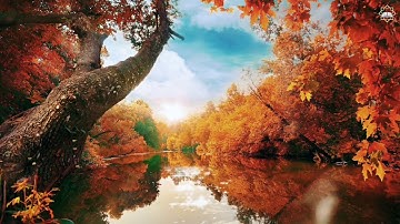 سورة هود||قصة اغراق قوم نوح عليه السلام💜تلاوة هادئة مليئة بالسكينة😔