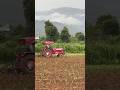 Fennel seed farming #farming  खेत की जुताई, सौफ की फसल, पहाड़ों के बीच हरियाली और बादलों का नजार