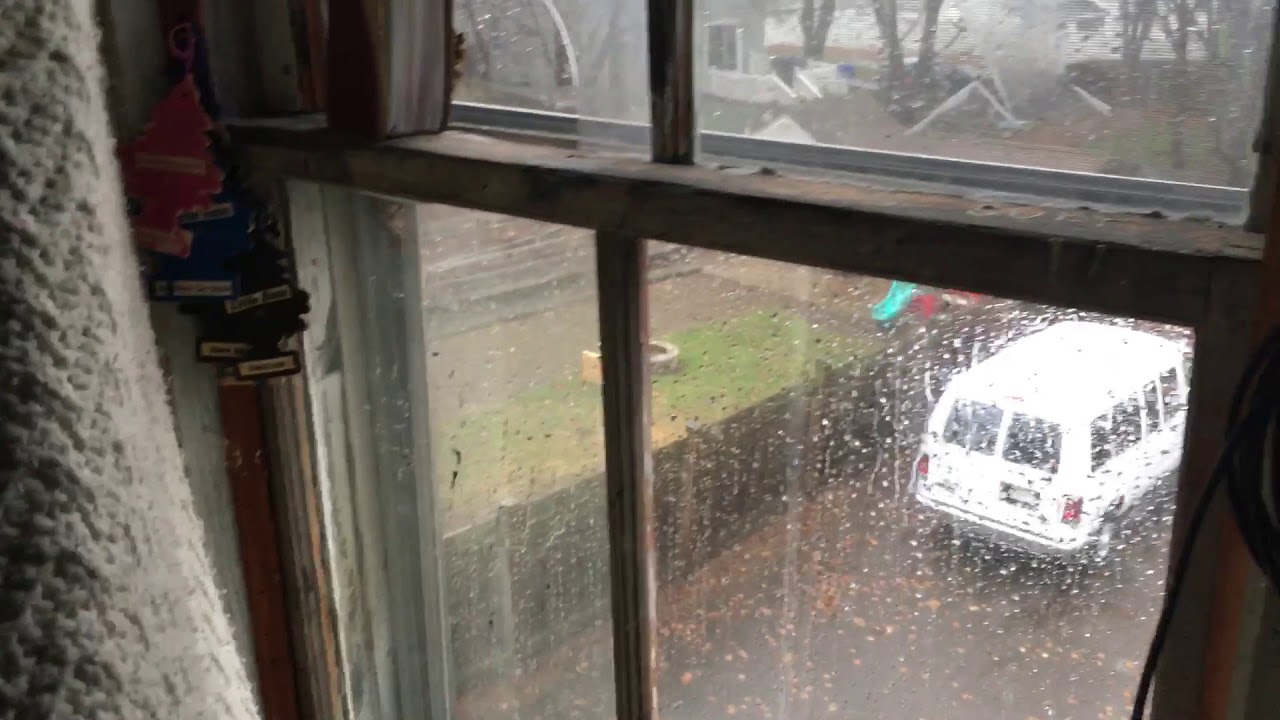 2019年12月1日 - 2020年11月30日