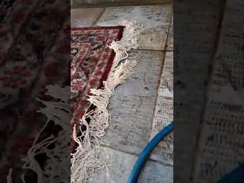 قالی دستبافت تو حیاط شستی   شسويلك اركصلك مثلا ههههههههههه مشترك شستشو