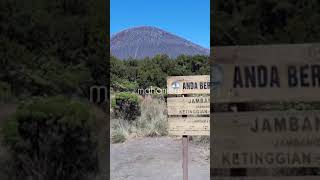 Download Lagu mahameru - dewa19 feat. virzha (cover - short) #mahameru #dewa19 MP3