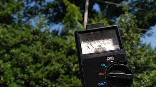 Cicadas - 80dB sound reading