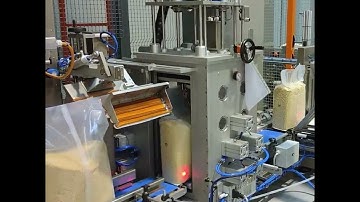 How Robotic Automation Revolutionizes Carton Handling