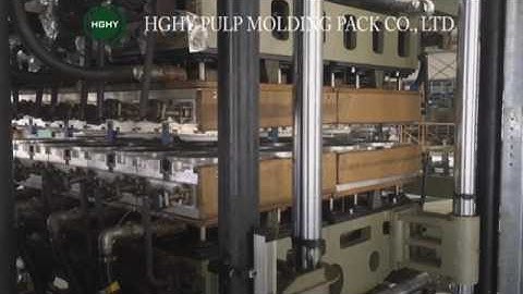 HGHY Automatic Pulp Molding Paper Plate Tableware Machine