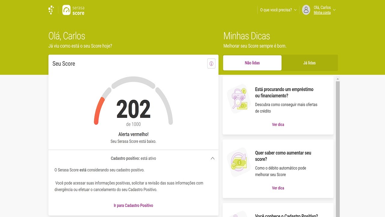 The Ultimate Guide To O Que Ã© Score, Qual A ImportÃ¢ncia E Como Aumentar? - Ferratum