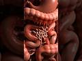 10 Hidden Signs You Might Have Parasites — And Don’t Even Know It!