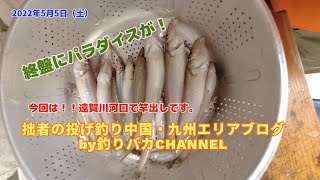 【投げ釣り】2022年5月5日　キス釣行動画　福岡県遠賀川河口で良型キスを狙ってきました。