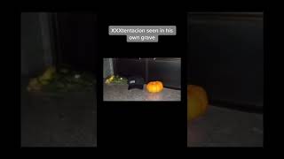 ⚠️ #scary 👇 #Shorts Video by TT=horrifyingclips