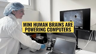 Mini Human Brains Are Powering Computers