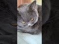 Oj ta moja pańcia #niko mówi