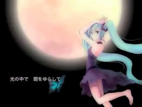【初音ミク(とく)】Butterfly【オリジナル曲】