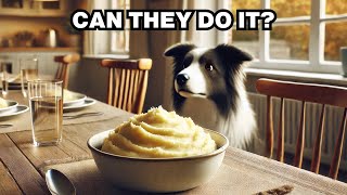 Can Dogs Eat Mashed Potatoes? Explained Can Dogs Eat Potatoes Explained