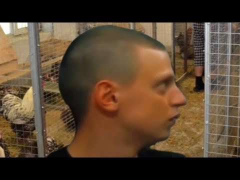 Сборник 150 КОРОТКИХ Видео с МЕЛСТРОЕМ из Тик-Тока - YouTube