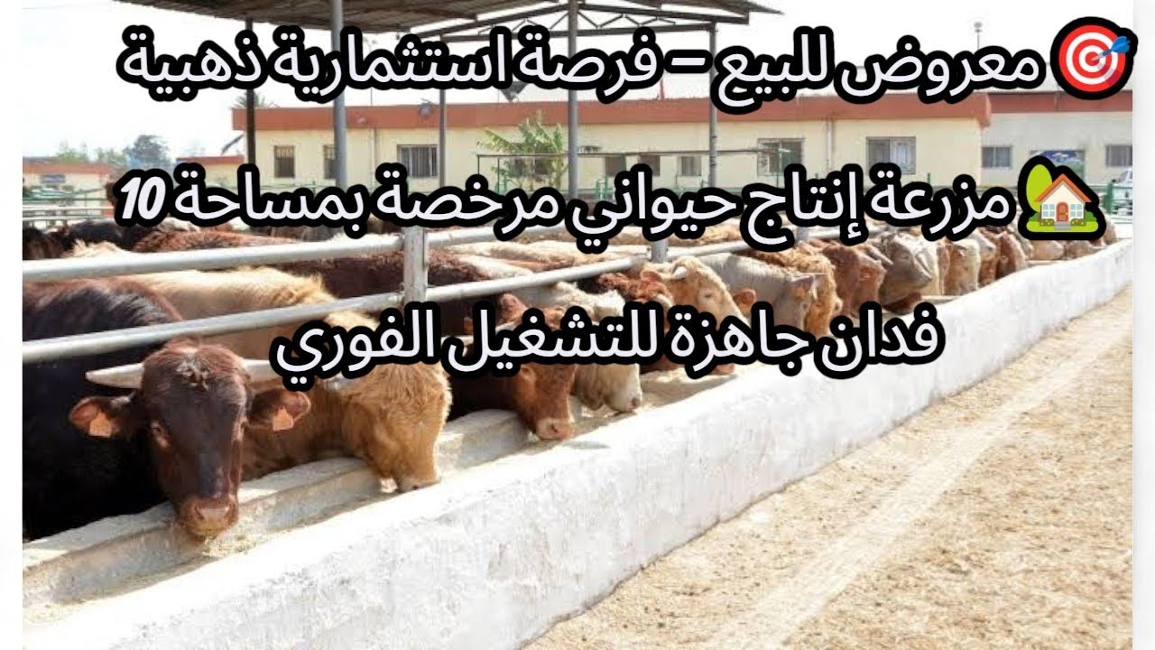 🎯 معروض للبيع – فرصة استثمارية ذهبية🏡 مزرعة إنتاج حيواني مرخصة بمساحة 10 فدان جاهزة للتشغيل 