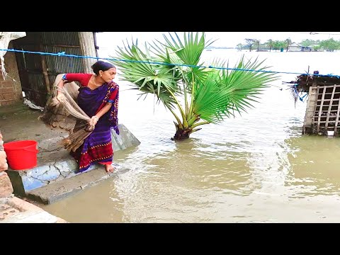 বাড়ির উঠানে জাল দিয়ে বড় বড় মাছধরা - দৃশ্য টা মনোমুগ্ধকর