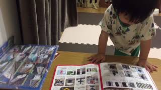 2歳児が鉄道図鑑を読み込んだらこうなった