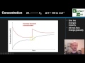 Equilibrium Systems and Graphs Quiz