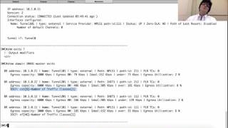 Fun in the Lab: IWAN, LiveAction, Prime, UDP Director