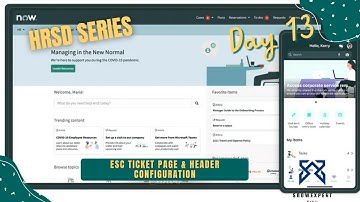HRSD 13 - ESC Ticket Page & Header Configuration