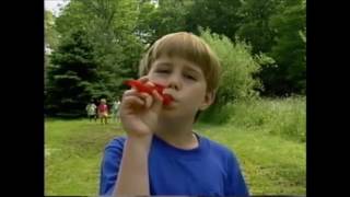 YTP you on kazoo - john on kazoo