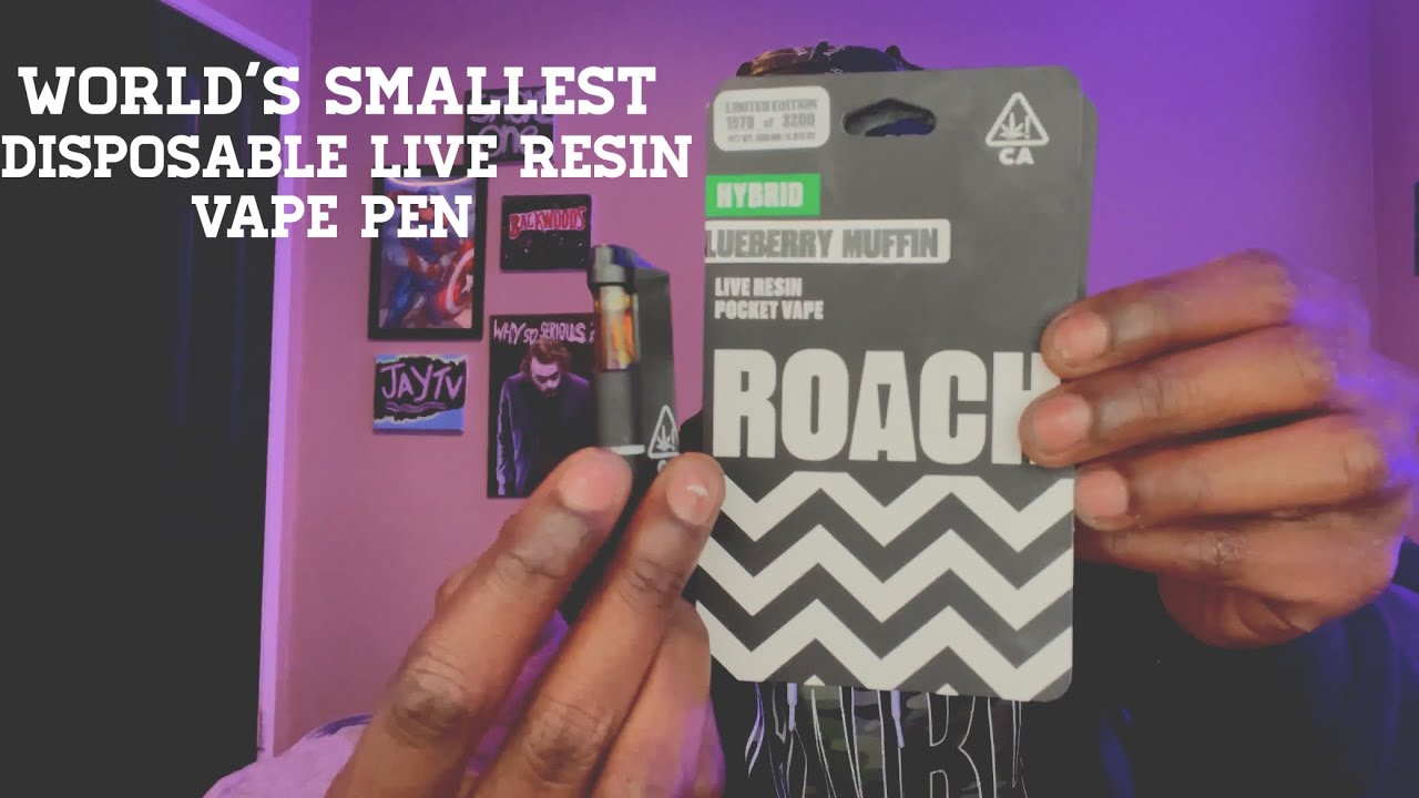 The Worlds Most Smallest Disposable Live Resin Vape Pen The "Roach