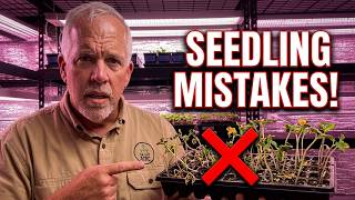 5 Deadly Seed Starting Mistakes I Made So You Don't Have To