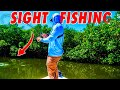 Sight casting fish hidden deep in the florida mangroves