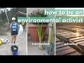 HOW TO BE AN ACTIVIST from beginner to advanced // environmental activism for all people :)