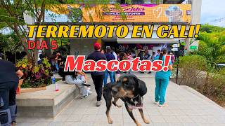 EART UAKE IN COLOMBIA CALI Day 5 - RESCUED PETS