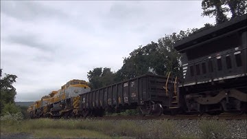 NS 054 High/Wide with Export Units