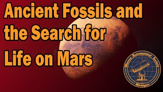 Feature: "Ancient Fossils and the Search for Life on Mars"