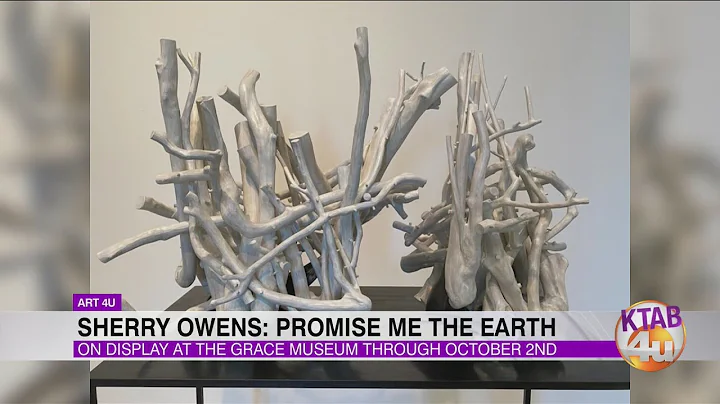 Sherry Owens: Promise Me The Earth on display at T...