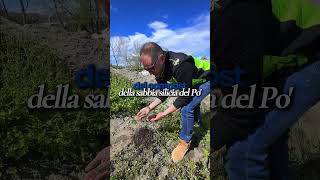 TERRA PER IL TUO ORTO E GIARDINO #transghiaia