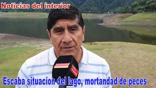 Escaba Mortandad de peces