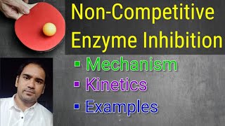 Non-competitive Enzyme Inhibition : Mechanism, Kinetics (Km&Vmax) & Examples.