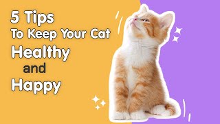 5 Essential Tips to Keep Your Cat Healthy and Happy