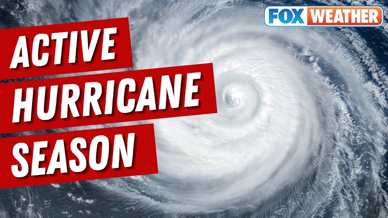 'Get The Shutters Ready': 2024 Atlantic Hurricane Season Could Be Among ...